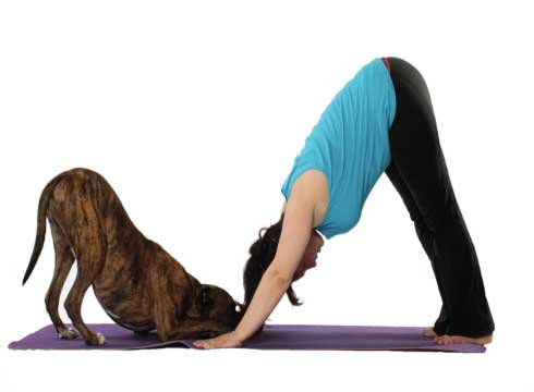 Downward Dog