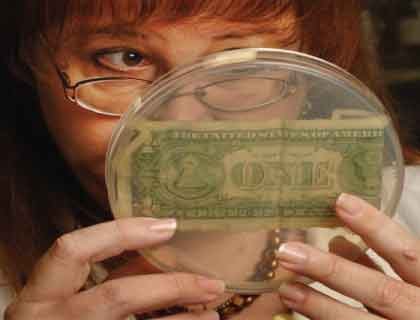 bacterial in money