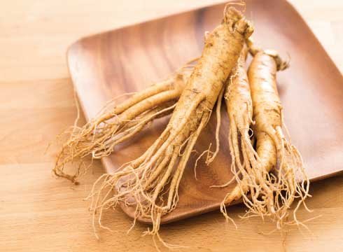 Ginseng