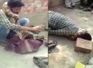 Python wraps round snake charmer's neck and strangles him during show