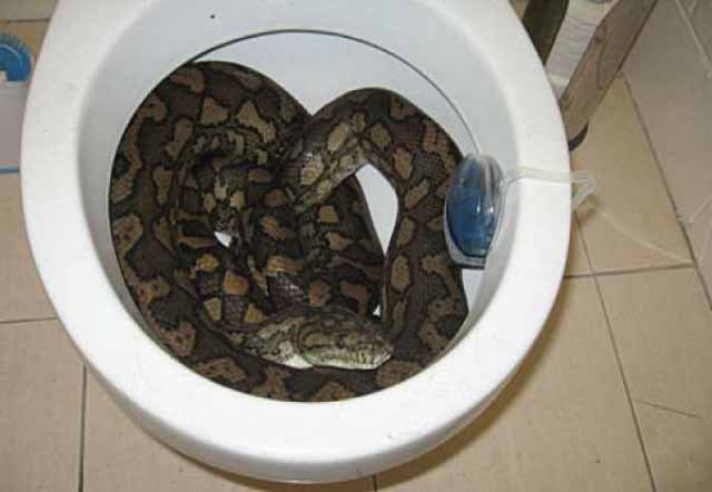 These 16 Things Will Shock You and they Only Happen In Australia These-16-Things-Will-Shock-You-and-they-Only-Happen-In-Australia