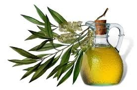 Dilute Tea Tree Oil 