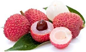 Litchi