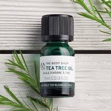 tea tree oil
