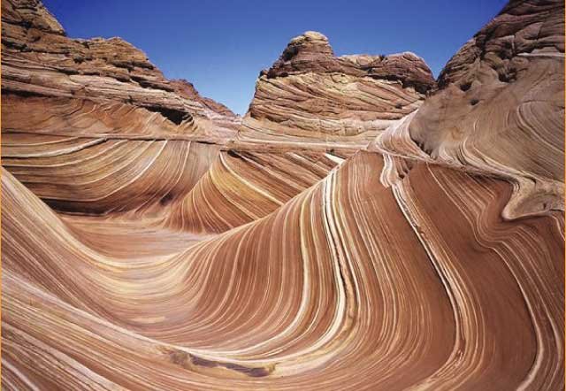 The Wave (United States)